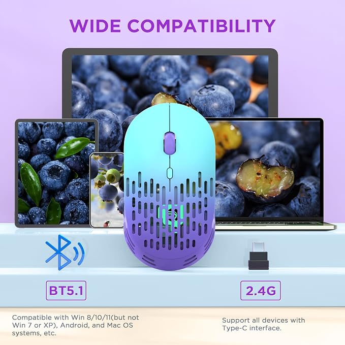 RAPIQUE Bluetooth Wireless Mouse, Dual Mode Rechargeable Silent Computer Mice with 2.4G Type C Receiver, USB C Mouse for MacBook, Laptop, Surface Pro, Chromebook, Tablet (Mint Green to Purple)
