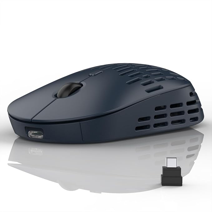 RAPIQUE Bluetooth Wireless Mouse, Dual Mode Rechargeable Silent Bluetooth Mice with 2.4G Type C Receiver for Laptop, iMac, Chromebook,MacBook pro/air and All Type-C Device (Blue)