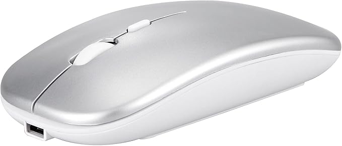 Wireless Bluetooth Mouse for Apple iPad iPhone MacBook Android Samsung Tablet Phone Dual-Mode Rechargeable 2.4G Portable Computer Mice for Windows Laptop Notebook PC Mac Desktop USB Receiver (Silver)