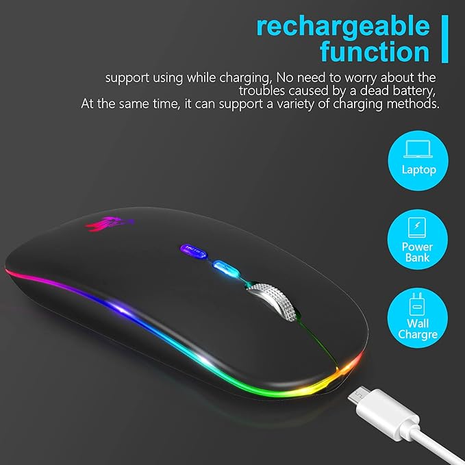 HOTLIFE LED Wireless Mouse, Slim Rechargeable Silent Portable USB Optical 2.4G Wireless Bluetooth Two Mode Computer Mice with USB Receiver and Type C Adapter (Black)