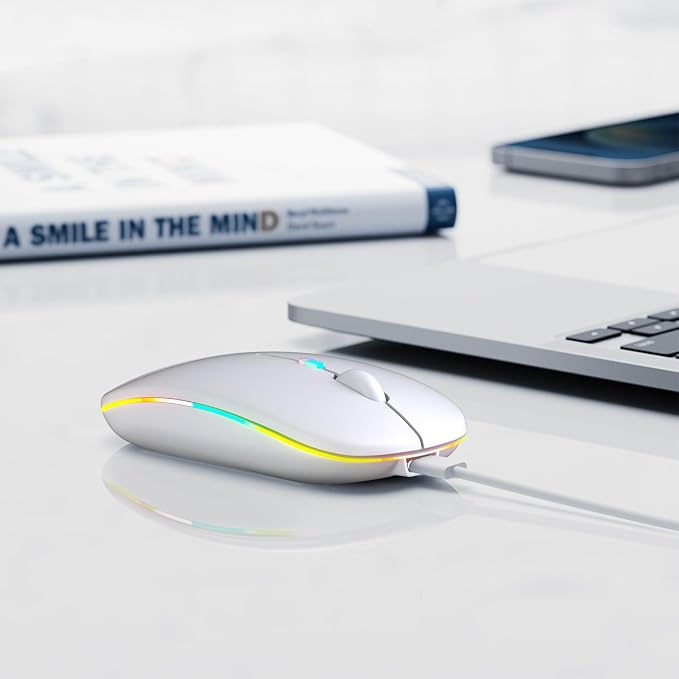 Wireless Bluetooth Mouse, Rechargeable, LED, Silent, Ultra-thin Design (Bluetooth 5.2 and 2.4GHz USB Receiver) | Portable Computer Mouse for Laptops, iPads, MacBooks and Apple Devices (white)