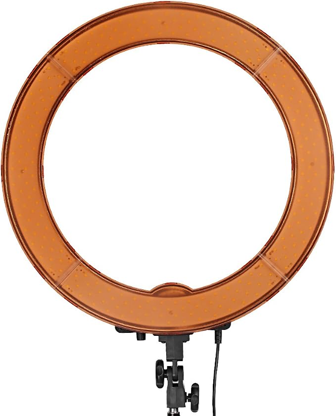 Neewer 18" Ring Light for Camera Phone, 55W Dimmable 5500K Light with 240 LEDs Color Filter Soft Tube Carrying Bag for YouTube TikTok Selfies Photography, Triangle Wall Mount Arm Included