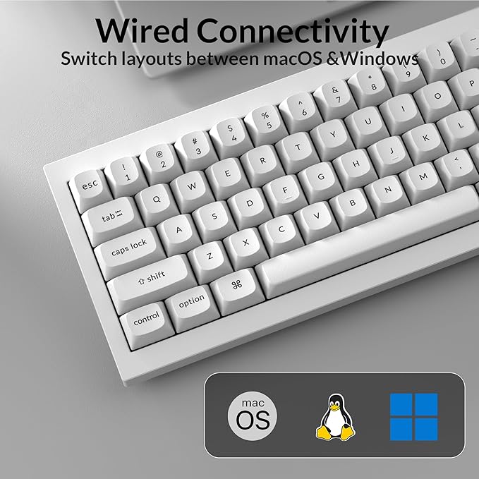 Keychron Q4 Wired Custom Mechanical Keyboard, QMK/VIA Programmable Macro, Full Aluminum, Hot-Swappable Gateron G Pro Blue Switch, 60% Layout Double Gasket Compatible with Mac and Windows - White
