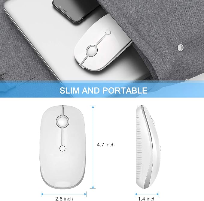 VssoPlor Type C Wireless Mouse, Dual Mode 2.4G Wireless Mouse USB C Cordless Mice with Nano USB and Type C Receiver Compatible with PC, Laptop, MacBook and All Type C Devices-White Silver