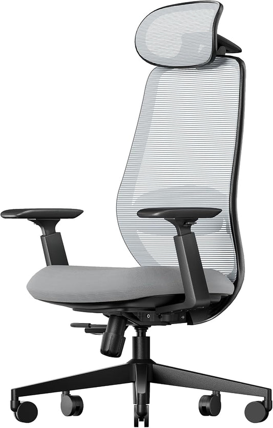 ProtoArc EC200 Ergonomic Office Chair – High-Back Mesh Computer Chair with Lumbar Support, Adjustable Seat Depth & 3D Headrest Ergo Desk Chairs for Work from Home, 8+ Hours Comfort – Light Grey