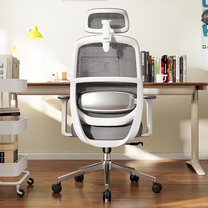 Ergonomic Office Chair, Home Office Desk Chairs, 3D Lumbar Support High Back Desk Chair, Comfortable Computer & Gaming Chair for Office & Home - Silver