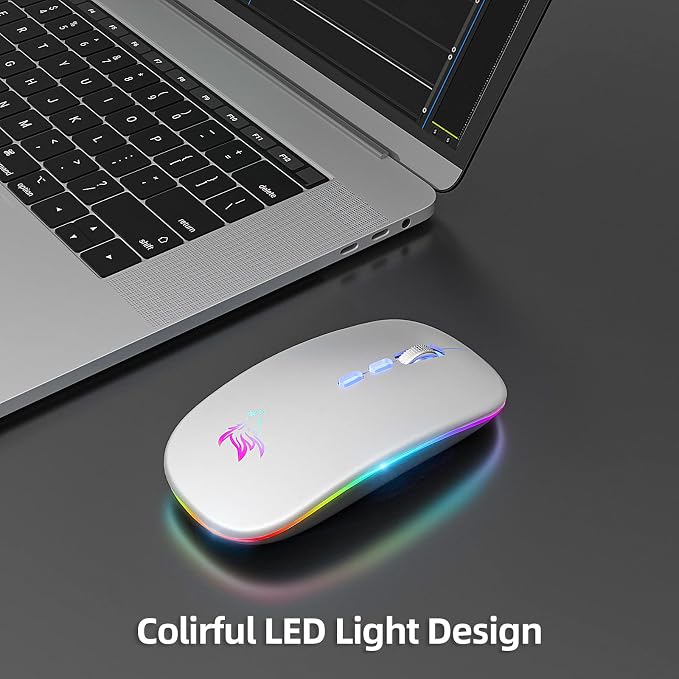 HOTLIFE LED Wireless Mouse, Slim Rechargeable Silent Bluetooth Mouse, Portable USB Optical 2.4G Wireless Bluetooth Two Mode Computer Mice with USB Receiver and Type C Adapter(Silver)