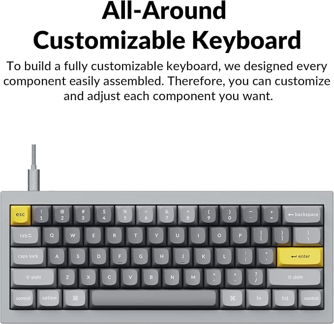Keychron Q4 Wired Custom Mechanical Keyboard, QMK/VIA Programmable Macro, Full Aluminum, Hot-Swappable Gateron G Pro Brown Switch, 60% Layout Double Gasket Compatible with Mac and Windows - Blue