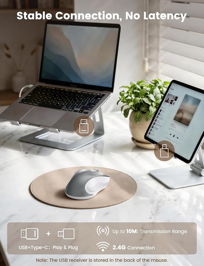 WisFox 2.4G Wireless Mouse for Laptop, Ergonomic Computer Mouse with USB Receiver and Type-C Adapter, 3 Adjustable Levels DPI, 6 Button Cordless Wireless Mice (Silver)
