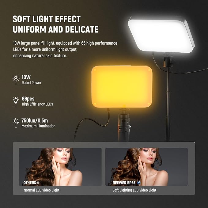 NEEWER BASICS 2 Pack LED Video Panel Light, Video Conference Lighting Kit with Desktop Tripod Stands/Filters for Webcam Desk Computer Laptop Zoom Call Makeup Recording Selfie Streaming, Dimmable, BP66