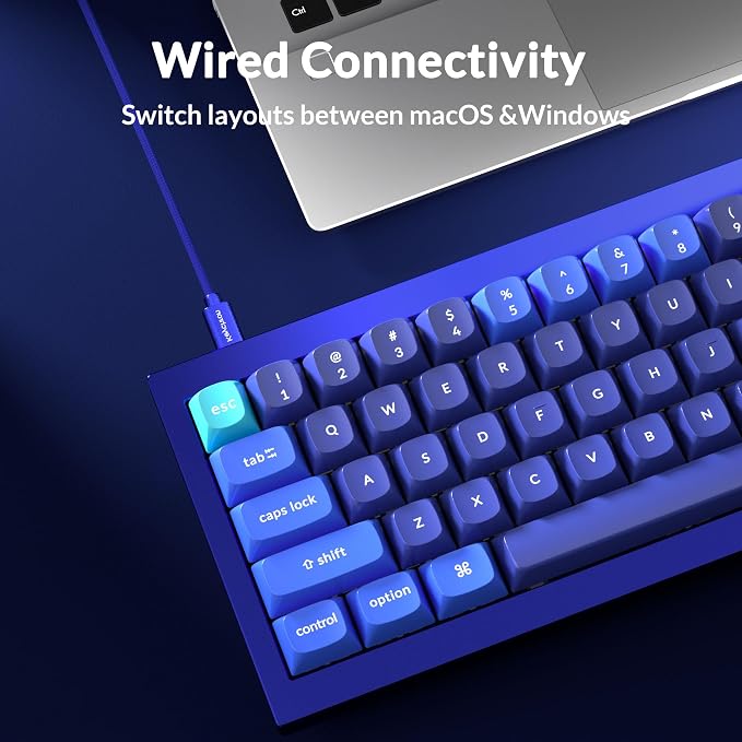 Keychron Q4 Wired Custom Mechanical Keyboard, QMK/VIA Programmable Macro, Full Aluminum, Hot-Swappable Gateron G Pro Blue Switch, 60% Layout Double Gasket Compatible with Mac and Windows - Blue