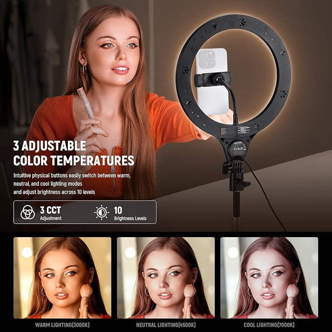 NEEWER Entry Level Version 10.5" Desk Ring Light with Stand/Phone Holder Compatible with iPhone/Remote, 10W CRI85+ LED Lighting for Streaming Recording Makeup Selfie Laptop Video Conference, N22