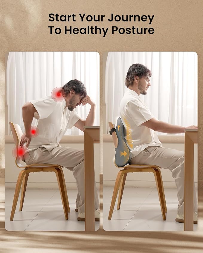 ProtoArc Lumbar Support Pillow for Office Chair, Memory Foam Back Support Pillow for Lower Back Fatigue Relief, Lumbar Cushion Desk Chair Back Cushion, Ergonomic Back Rest for Chair, Car - Gray