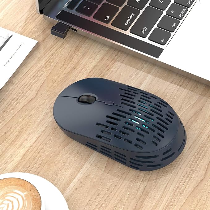 RAPIQUE Bluetooth Wireless Mouse, Dual Mode Rechargeable Silent Bluetooth Mice with 2.4G Type C Receiver for Laptop, iMac, Chromebook,MacBook pro/air and All Type-C Device (Blue)
