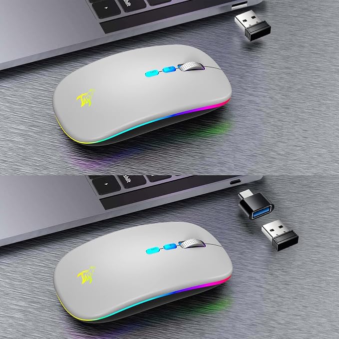 HOTLIFE LED Wireless Mouse, Slim Rechargeable Bluetooth Mouse, 2.4G Portable USB Optical Wireless Computer Mice with USB Receiver and Type C Adapter (Grey)