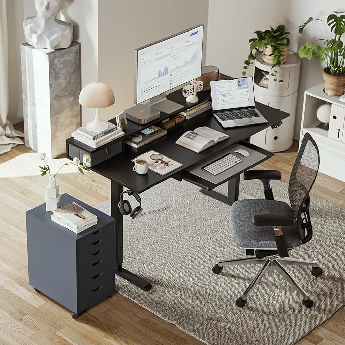 Agilestic Electric Standing Desk with 2 Drawers and Keyboard Tray, 48 x 23 Inches Ergonomic Adjustable Height Desk with Storage, Sit Stand Computer Workstation, Black