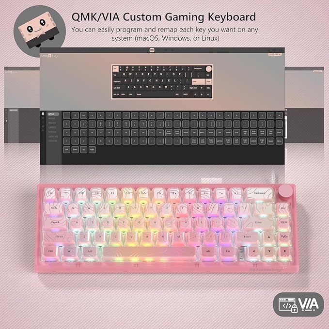 Womier 60% Percent Keyboard Pink Mechanical, QMK/VIA Creamy Gaming Keyboard Topographic, Hot Swappable Gasket Mount RGB Wired Key Board & Translucent Keycaps(VK66 PRO)