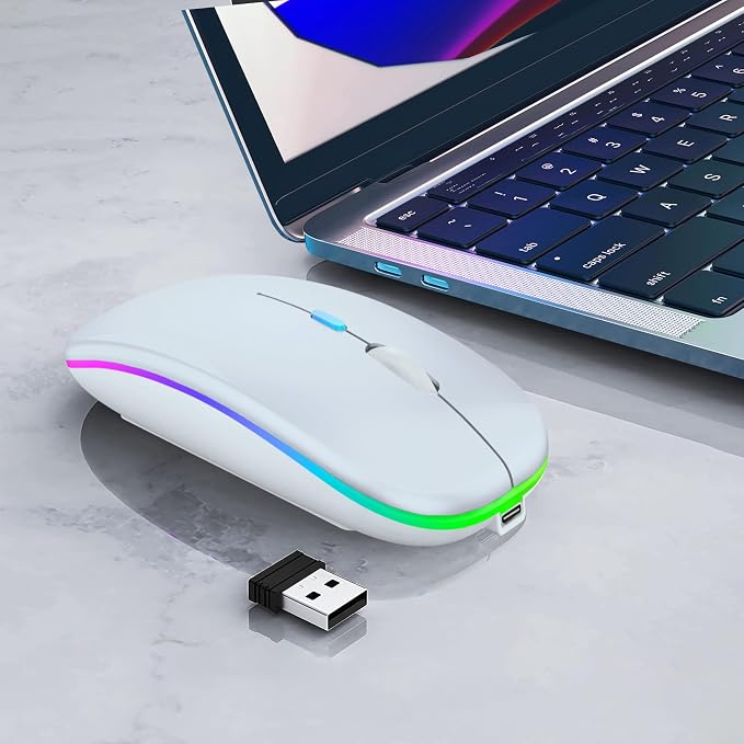 WREANU Wireless Bluetooth Mouse Rechargeable Laptop Mice with LED Lights Silent Slim Use(BT5.2 & USB 2.4G Portable Receiver) Dual Mode Computer Mouse for Laptop/iPad/Tablet/Apple/Computer/Mac(White)