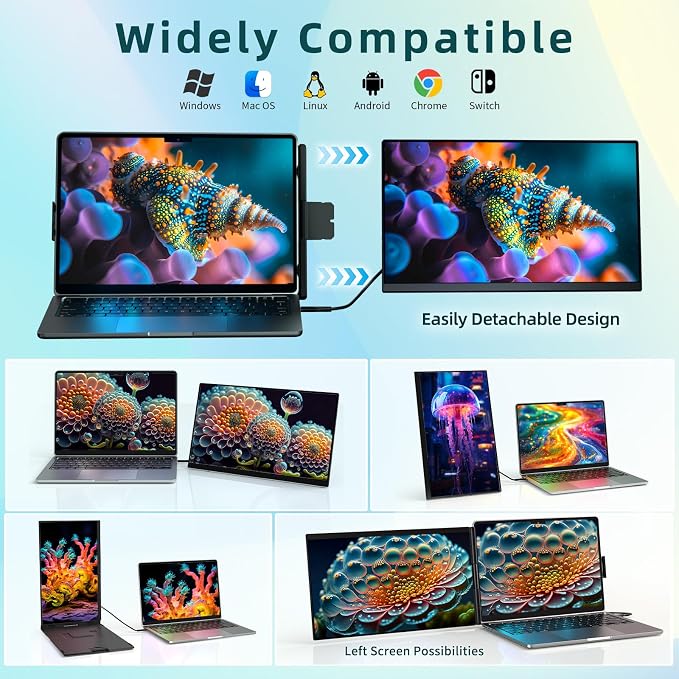 ROYY Laptop Screen Extender Dual Monitor - 15.6" Portable Monitor 85% NTSC IPS 1080P FHD Detachable Screen Extended Extra USB-C/HDMI Port Compatible with Wins Mac Dex Chrome Fits 13"-17" Laptops