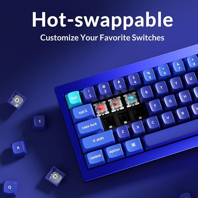 Keychron Q4 Wired Custom Mechanical Keyboard, QMK/VIA Programmable Macro, Full Aluminum, Hot-Swappable Gateron G Pro Blue Switch, 60% Layout Double Gasket Compatible with Mac and Windows - Blue