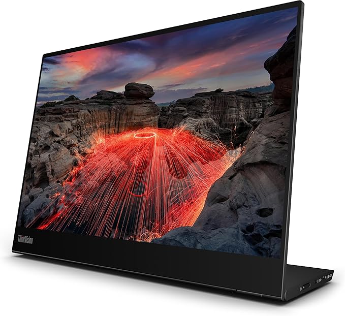ThinkVision M14t Gen2 14-inch Monitor
