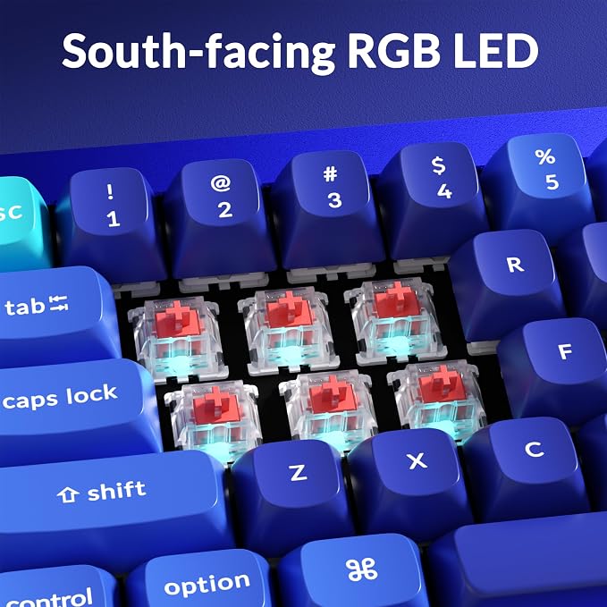 Keychron Q4 Wired Custom Mechanical Keyboard, QMK/VIA Programmable Macro, Full Aluminum, Hot-Swappable Gateron G Pro Blue Switch, 60% Layout Double Gasket Compatible with Mac and Windows - Blue