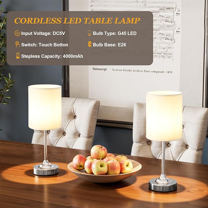 Touch Control Cordlss Table Lamp, USB-C Rechargeable Lamp with Stepless Dimming, 4000mAh Battery Operated Bedside Lamp for Bedroom, Living Room, Night Light & Emergency Lighting, Silver, 1 Pack