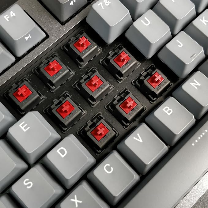 DURGOD Taurus K320 TKL Mechanical Keyboard | 87 Keys Tenkeyless | USB C Wired | Doubleshot PBT Keycaps | Programmable Keys | NKRO Rollover | Windows & Mac | Cherry MX Red, Space Grey