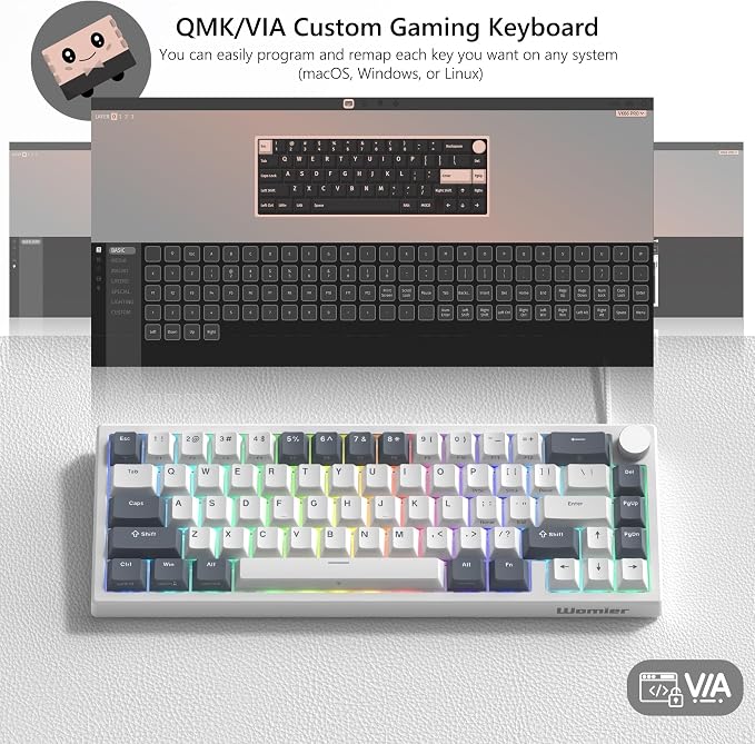 Womier VK66 PRO 60% Gaming Keyboard Wired, QMK/VIA Creamy Mechanical Keyboard, Hot Swappable Gasket Mount RGB Key Board & Translucent Keycaps (White)