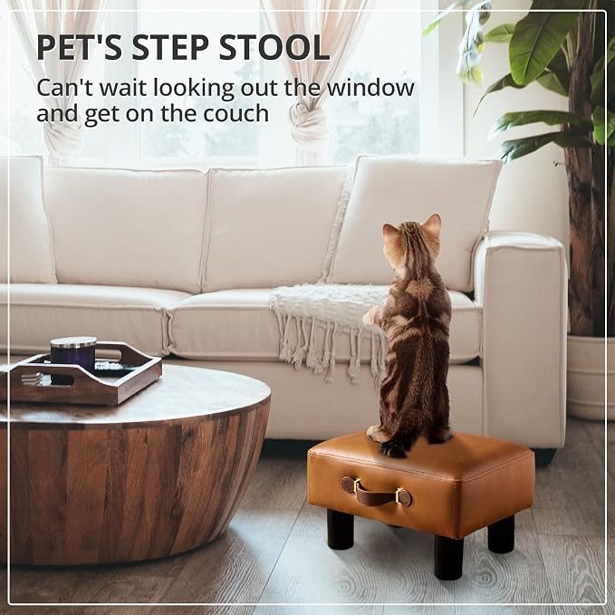 LUE BONA Small Foot Stool with Handle, Whisky Brown PU Leather Short Rest Rectangle Storage Foot Stools Ottoman with Plastic Legs, Padded Small Step Stool for Living Room, Office, Patio